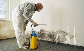 Irrigon, OR Mold Prevention & Removal  Company